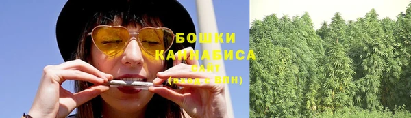 стафф Великий Новгород