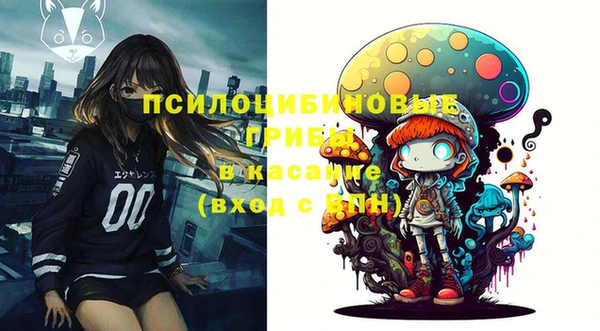 ешки Арсеньев