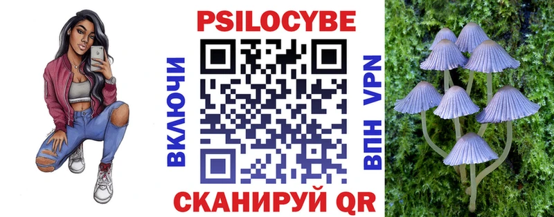 МЕГА как войти  Аткарск  Псилоцибиновые грибы Psilocybe 